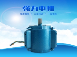 科瑞萊環(huán)?？照{1.1KW專用電機